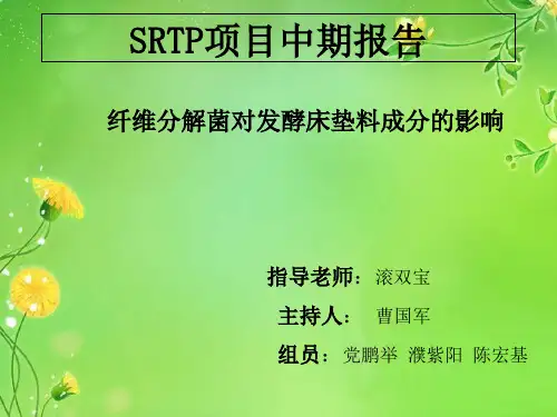 SRTP项目中期报告完整版