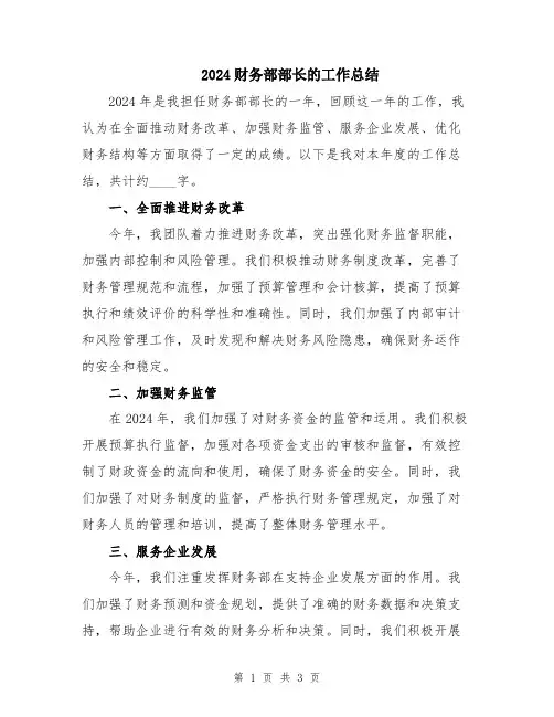 2024财务部部长的工作总结