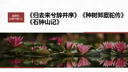 2024届高考一轮复习语文课件(新高考人教版)选择性必修下册(二) 拓展训练 走进高考