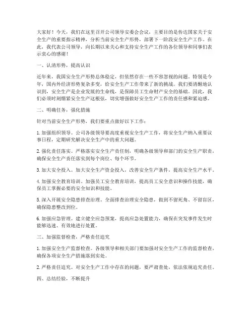 公司领导安委会发言稿范文