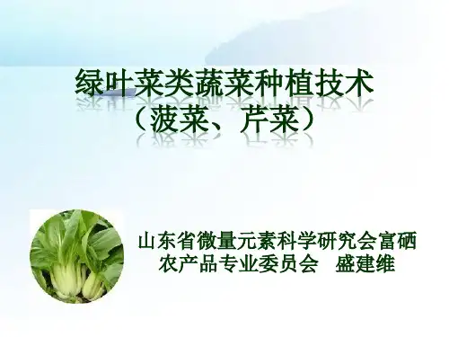 【课件】绿叶类蔬菜种植技术精品版