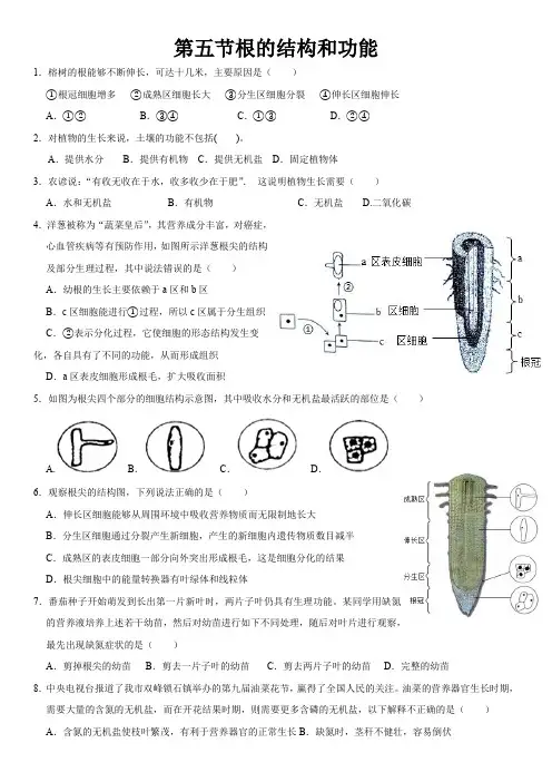 第五节根的结构和功能练习题2