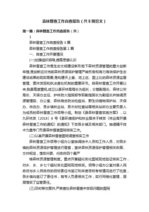 森林督查工作自查报告（共5则范文）