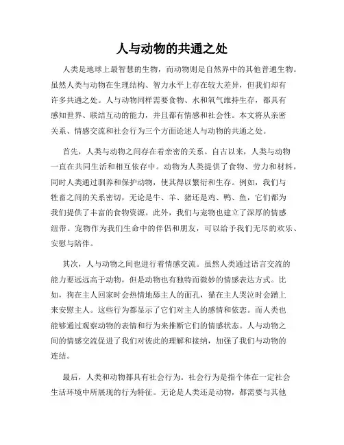 人与动物的共通之处