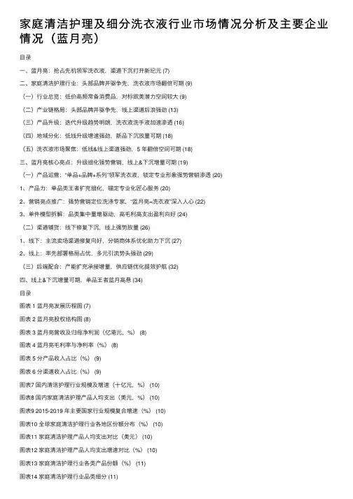 家庭清洁护理及细分洗衣液行业市场情况分析及主要企业情况（蓝月亮）