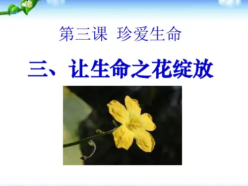 《让生命之花绽放》珍爱生命教材课件ppt