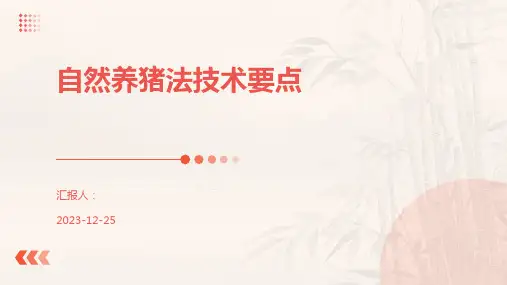 自然养猪法技术要点