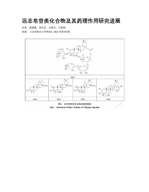 远志皂苷类化合物及其药理作用研究进展