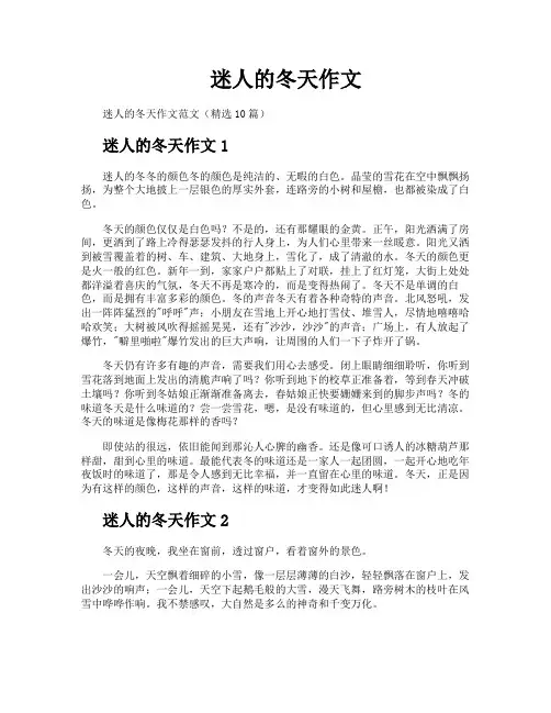 迷人的冬天作文