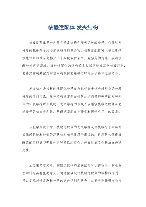 核酸适配体 发夹结构