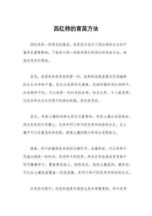 西红柿的育苗方法