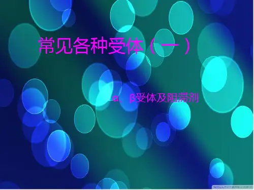 αβ受体解读精品PPT课件