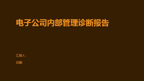 电子公司内部管理诊断报告