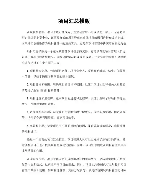 项目汇总模版