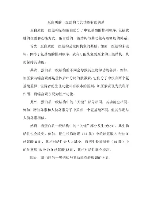 蛋白质一级结构与其功能的关系