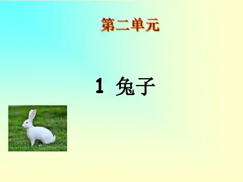 一年级上册科学.兔子大象版