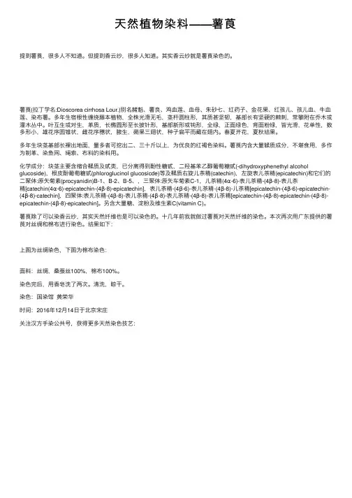 天然植物染料——薯莨
