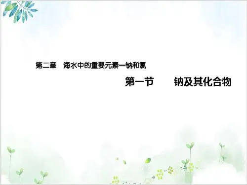 中化人教版必修第一册课件钠及其化合物PPT课件