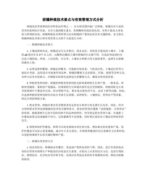 柑橘种植技术要点与有效管理方式分析