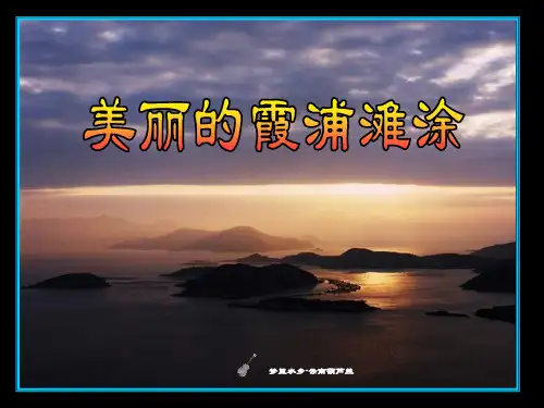 中国最美的霞浦滩涂.ppt