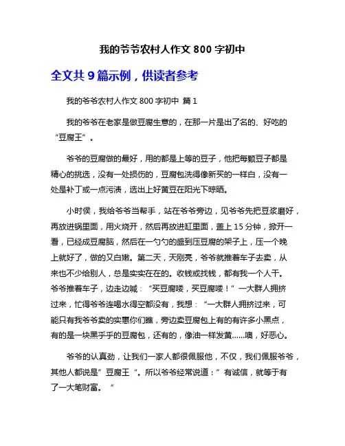 我的爷爷农村人作文800字初中