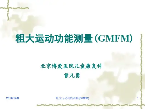GMFM-包含分级系统(推荐文档)