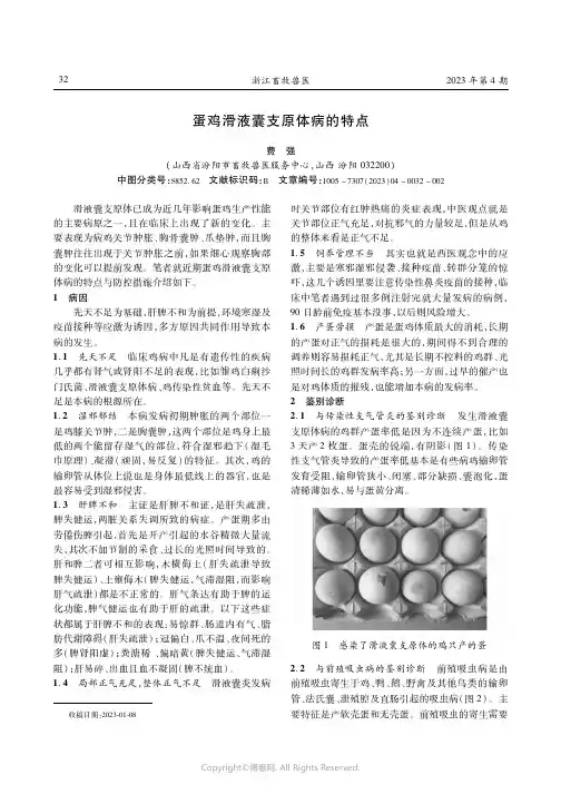 蛋鸡滑液囊支原体病的特点