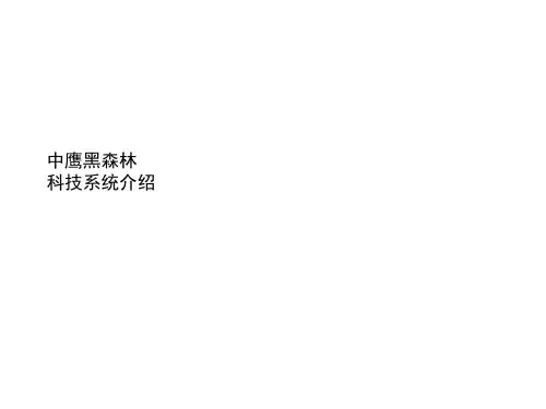 中鹰黑森林科技系统