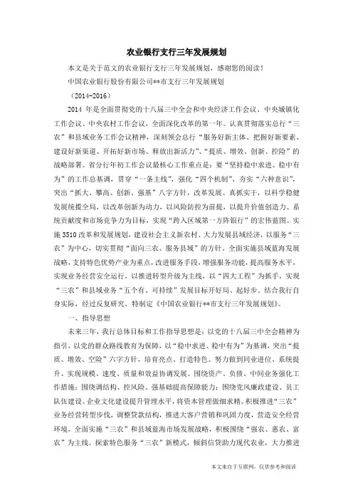 农业银行支行三年发展规划_范文