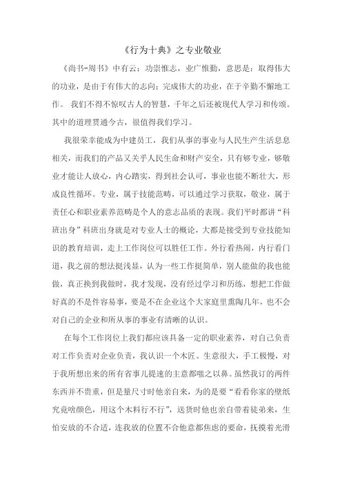 十典九章读后感 专业敬业