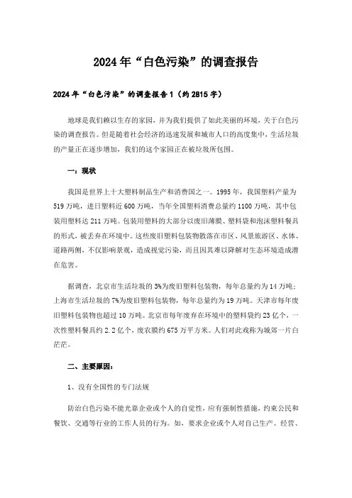 2024年“白色污染”的调查报告