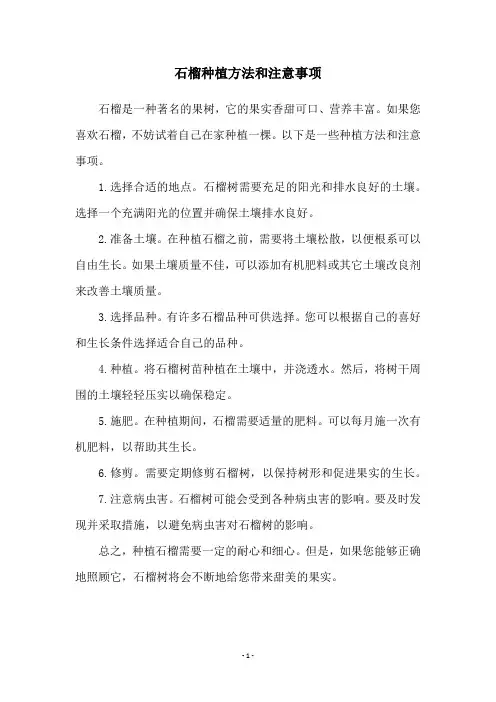 石榴种植方法和注意事项