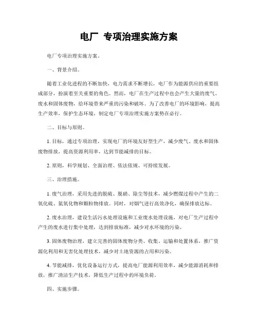 电厂 专项治理实施方案