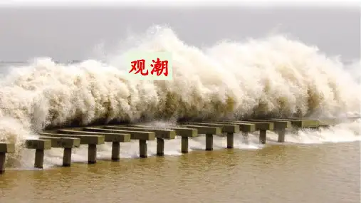 《观潮》名师课件(共41张PPT)