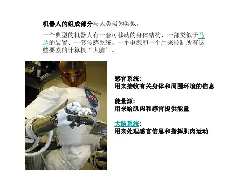 沪教版生物八年级第一册2.1.1 神经系统的组成 课件 