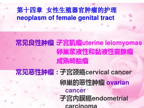 子宫颈癌PPT课件