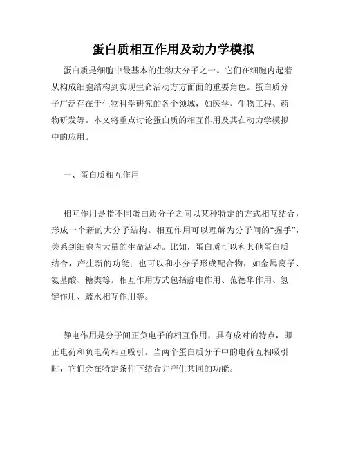 蛋白质相互作用及动力学模拟