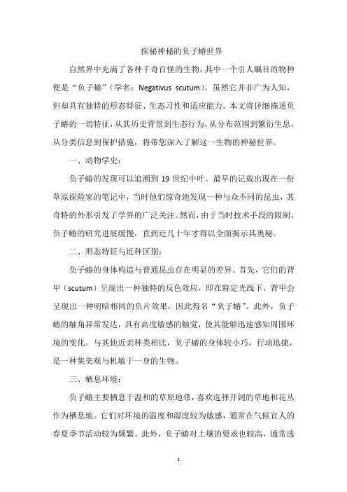 探秘神秘的负子蝽世界