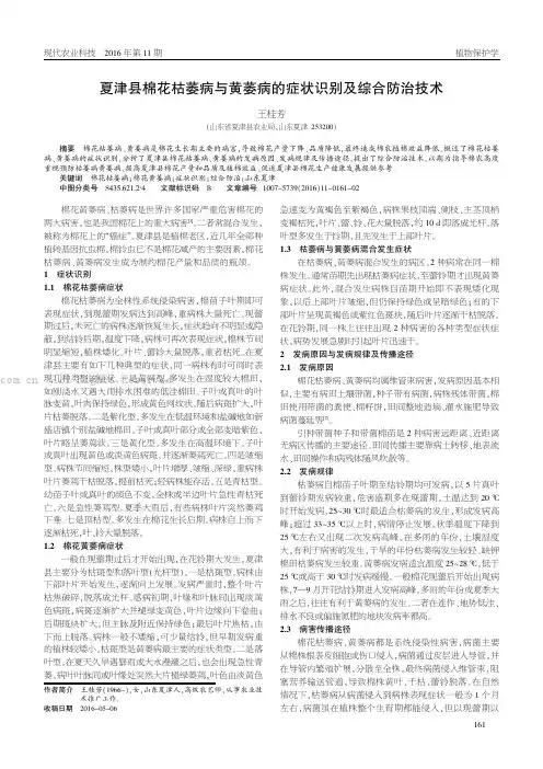 夏津县棉花枯萎病与黄萎病的症状识别及综合防治技术