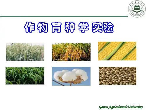 实验1  作物育种试验计划书的制订