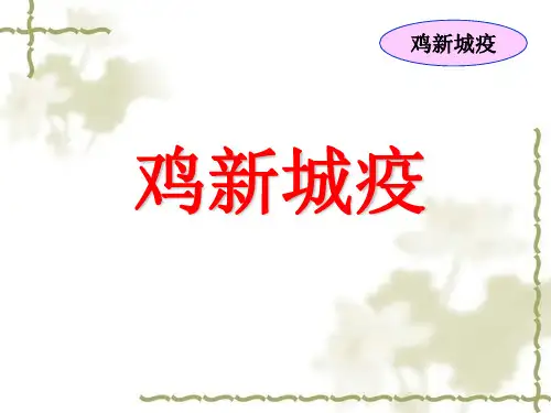 鸡新城疫