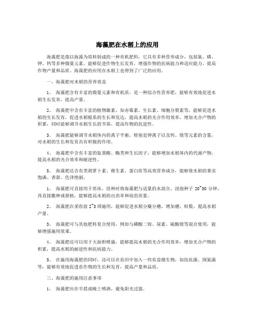 海藻肥在水稻上的应用