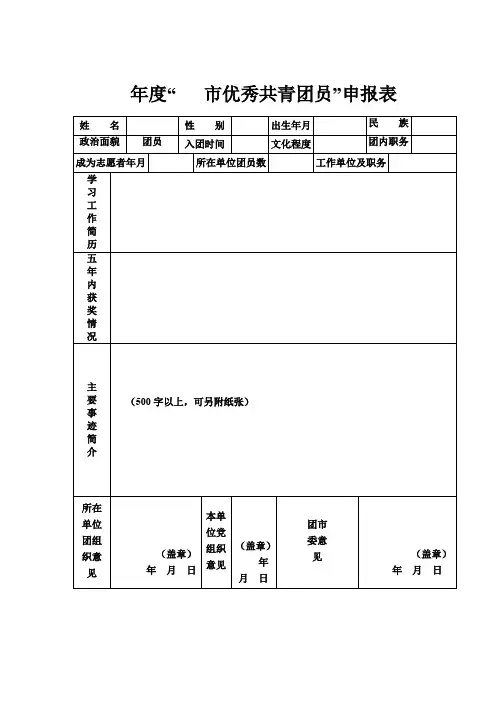 市优秀共青团员申报表