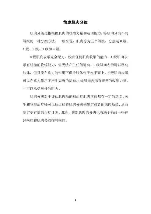 简述肌肉分级