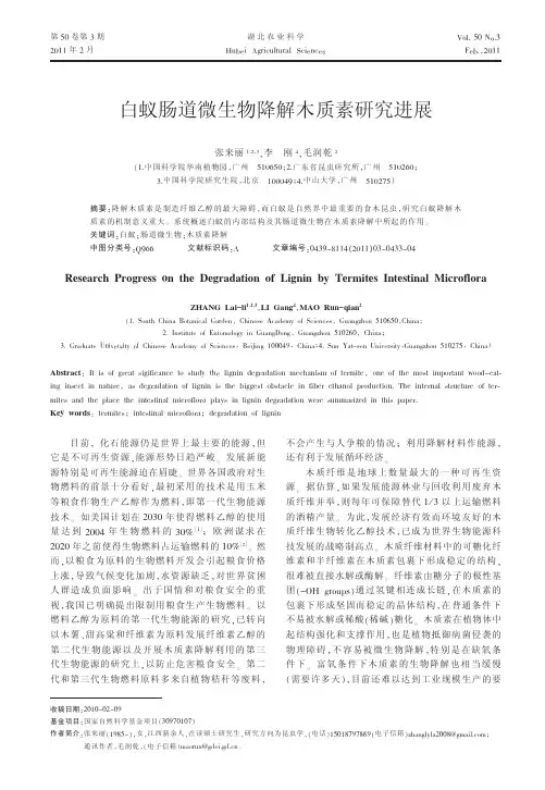 白蚁肠道微生物降解木质素研究进展_张来丽