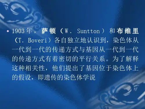 第三章遗传的染色体学说ppt课件