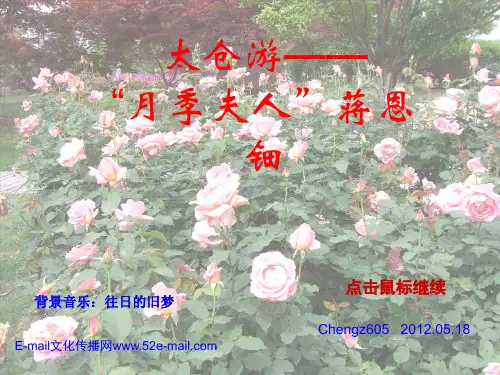 月季夫人蒋恩钿