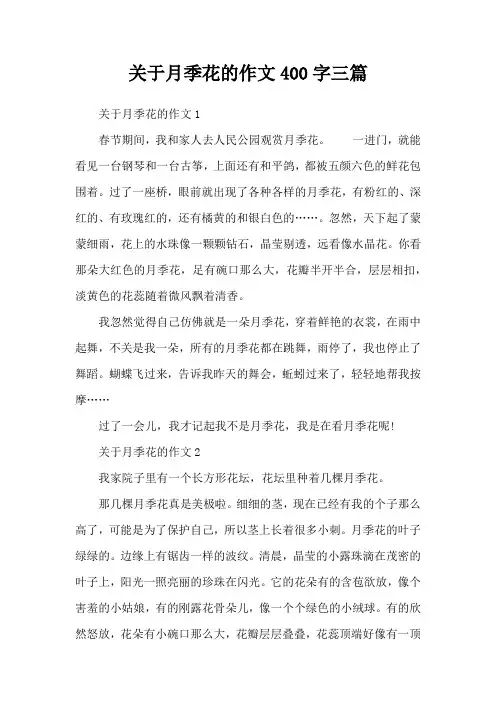 关于月季花的作文400字三篇