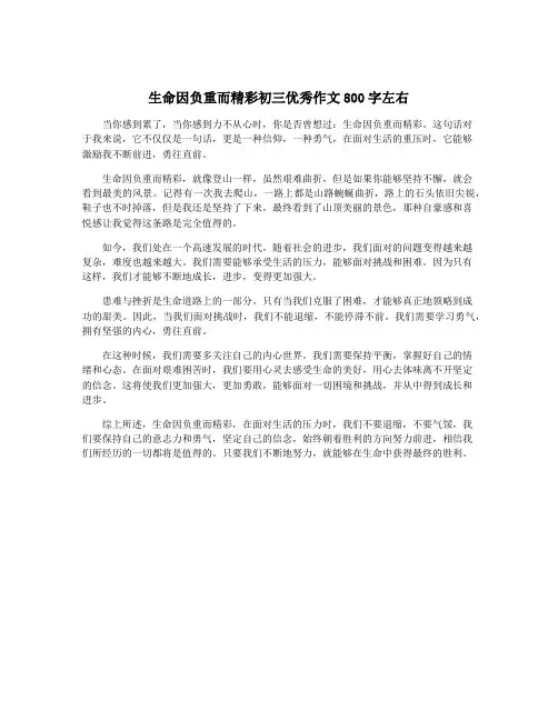 生命因负重而精彩初三优秀作文800字左右