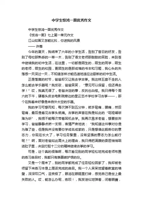 中学生惊鸿一面优秀作文